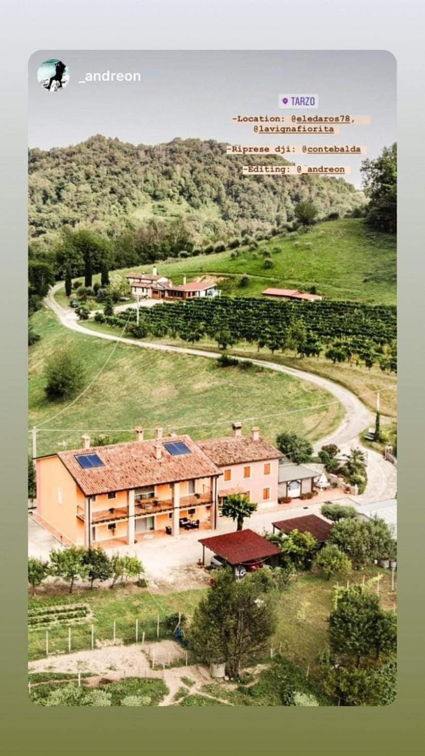 La Vigna Fiorita B&B Tarzo Exteriör bild